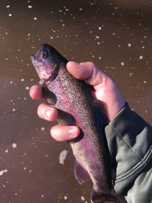 623FD6EF-974A-492F-B3D7-4A0F6A3C44AD