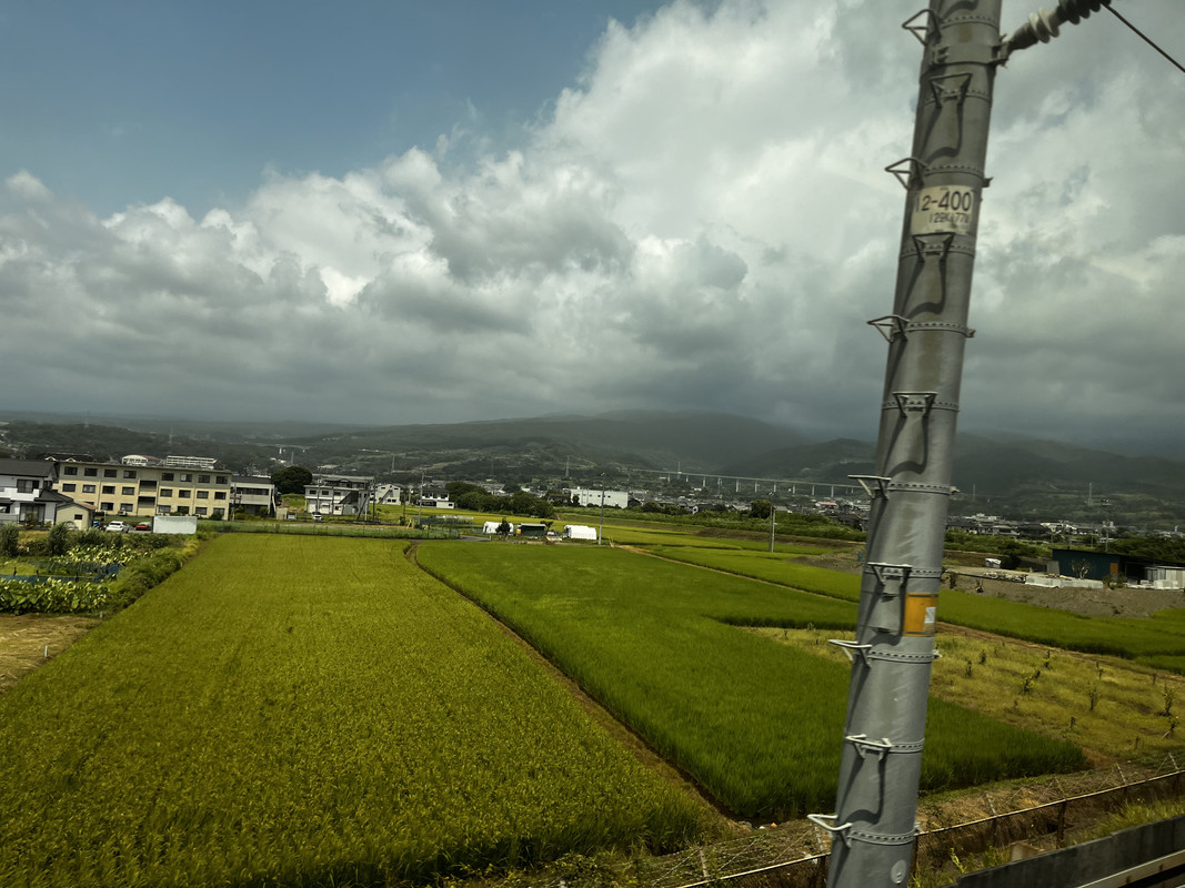 3F4EF307-E339-4E09-9404-64B6806DD882