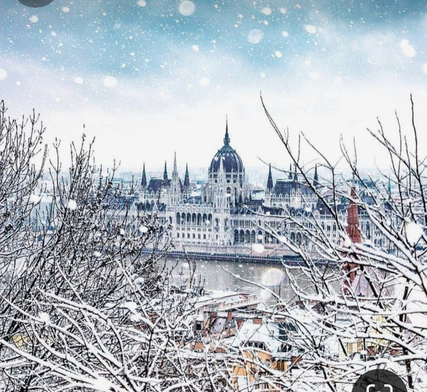 Screenshot_20240116_213605_Pinterest