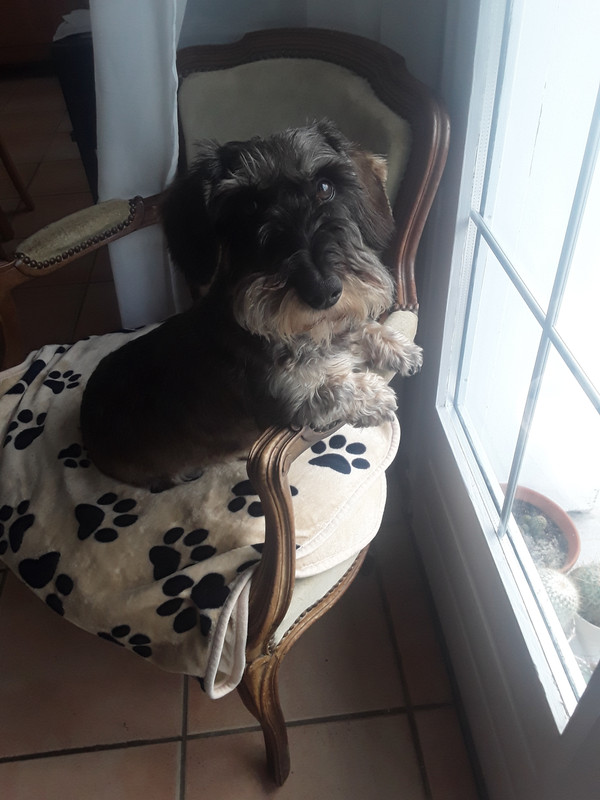 [Image: 20241030-161703.jpg]