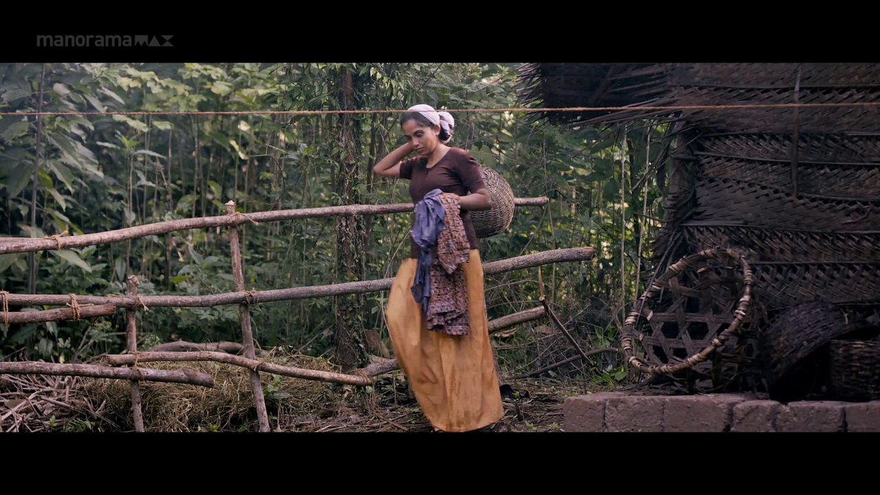 vlcsnap 2026 02 06 18h03m56s183