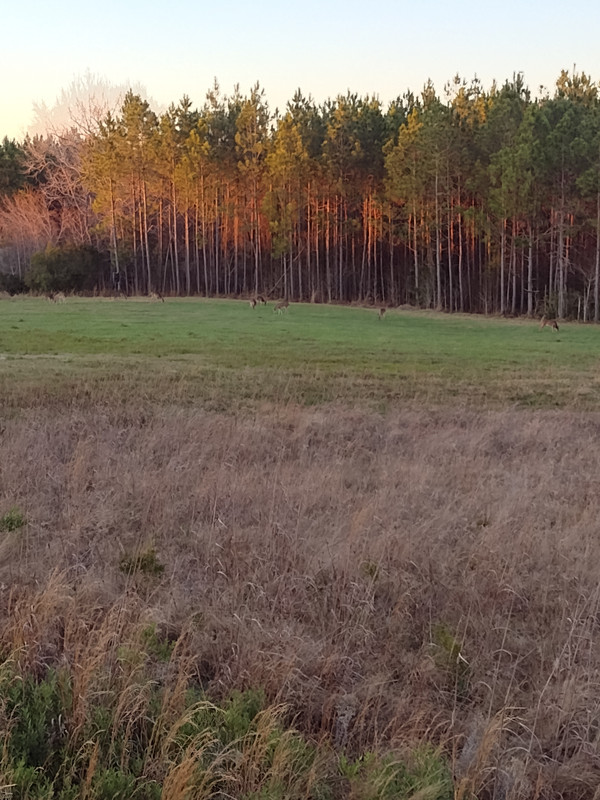 IMG_20220103_172659008