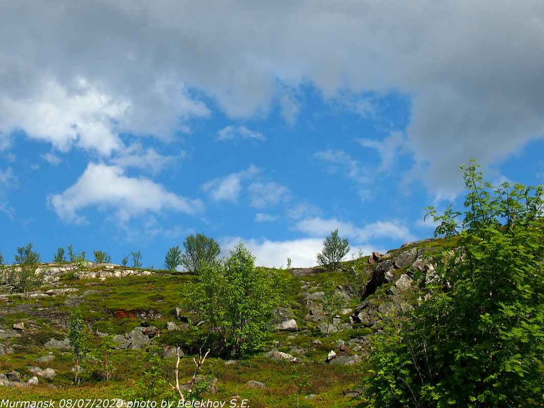Мурманск, сопки Мурманск, сопки