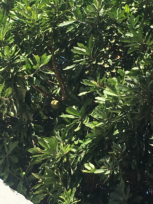 1FD20FE9-3A14-44FC-A3FC-0007770D6C48