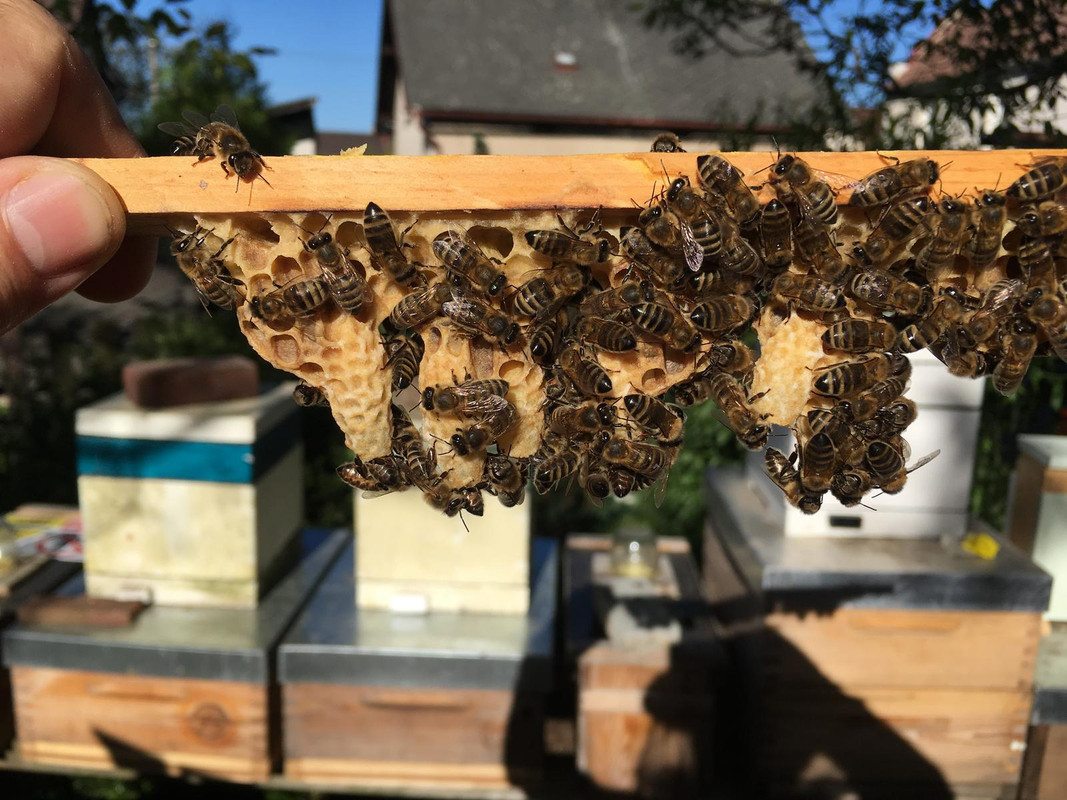 FDB4B450-0CA7-4461-9B4B-D7D885D9E516