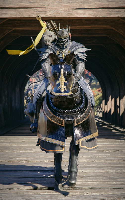 CRIMSON spacer z kotem1 FIN