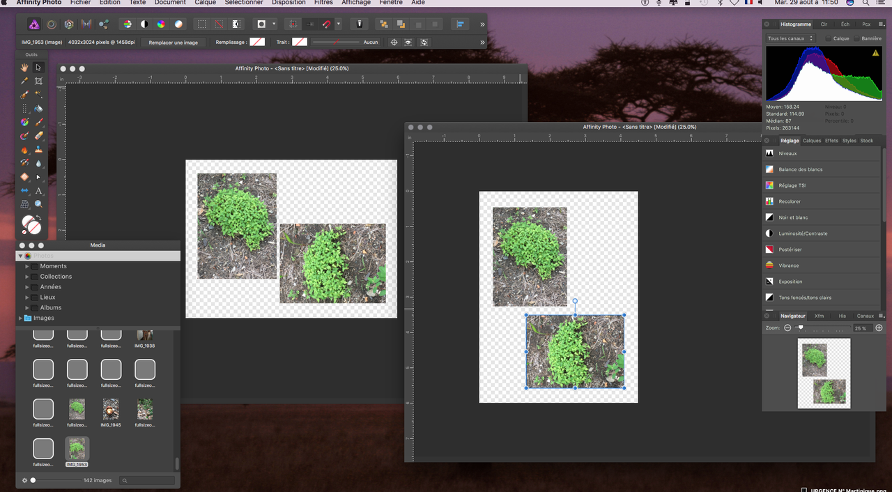Capture d’écran 2017-08-29 ? 11.50.19