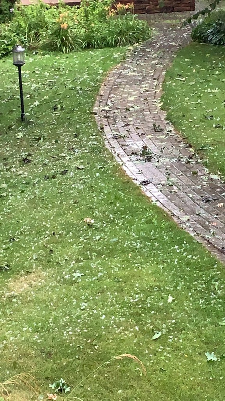 DBBCECEA-1704-429D-8A3A-8501BBAD443C