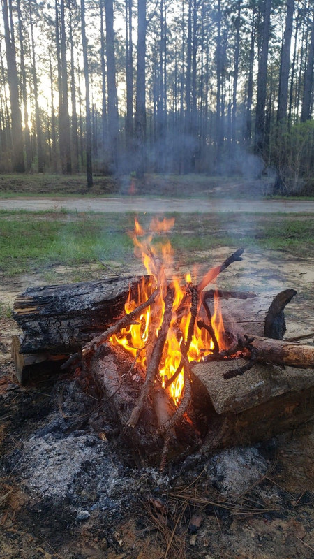 503D1AE9-DA3F-45B3-B942-70D8C2ADD05B