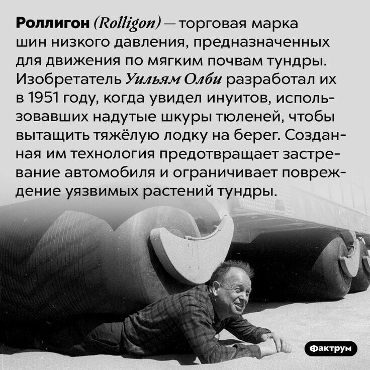 [Изображение: d8b7a242a1a1bdbcd5bcd60251a34f76.jpg]