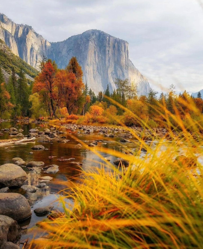 Screenshot_20231127_232432_Instagram