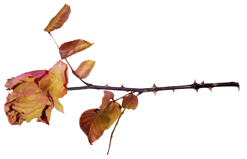 IPD_AH_Element (129)