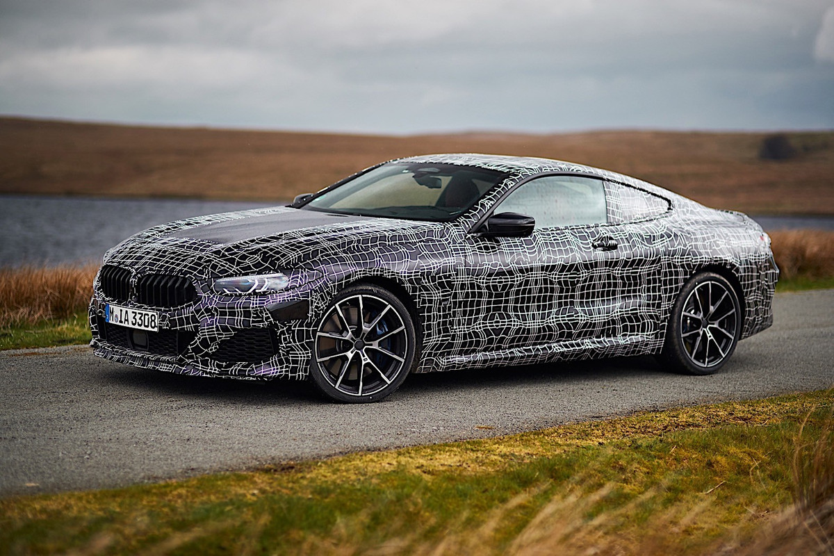 BMW 8 Series Coupe (35)