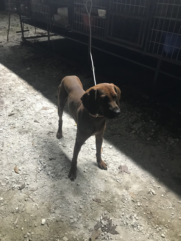 D813FC88-D458-42B1-8FC2-5DA30380FDB0