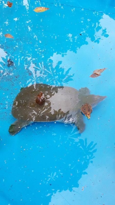 36177246-5232-4FDD-84A4-7390F33C9B8E