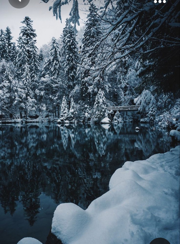 Screenshot_20231024_233442_Pinterest