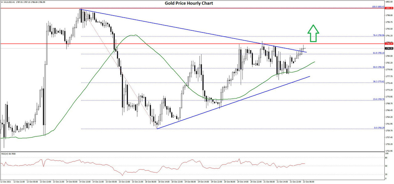 Daily Market Analysis By FXOpen in Fundamental_Gold-Chartx