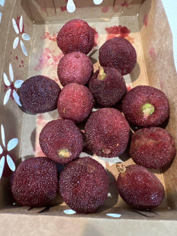 AE996624-8274-4FB1-B840-DE0948A5924B