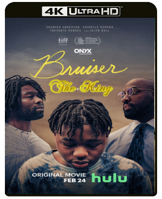 Bruiser (2022) WEB-DL 2160p x265 HEVC DV HDR E-AC3+AC3 ITA ENG