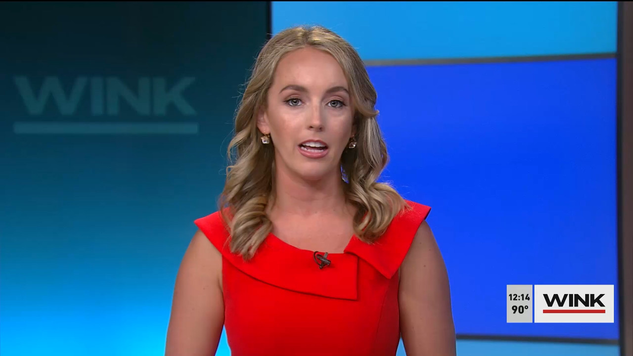 07.12 - 17.00.00 - The WINK Noon News  ᴺᵉʷ. Midday news update..ts_snapshot_21.14.147