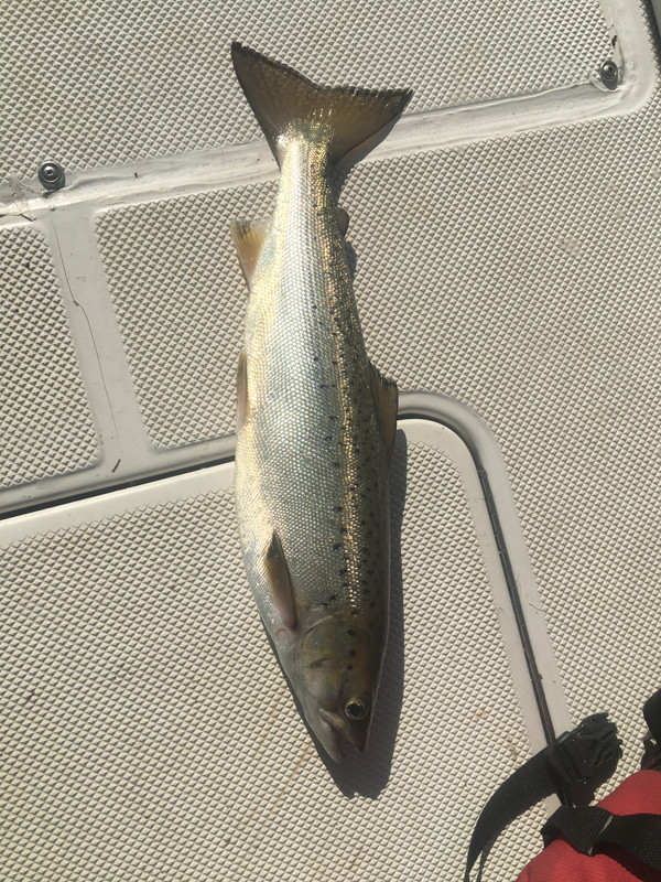 DFDCC2BB-B8A1-4F08-A394-BAA410C1FF28