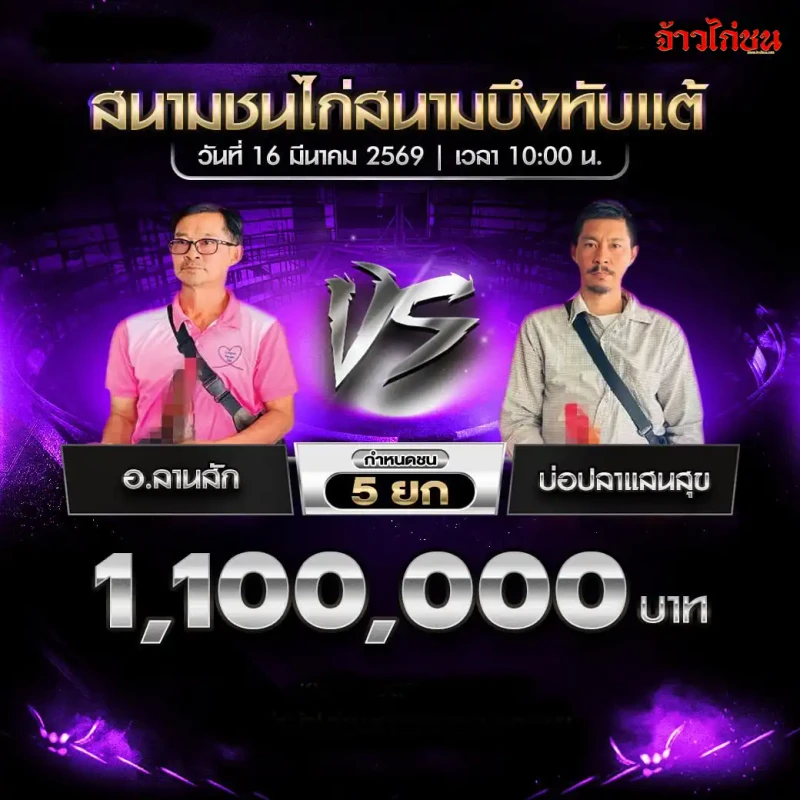 โปรแกรมไก่ชน คู่ที่ 4 อ.ลานสัก พบ บ่อปลาแสนสุข สนามชนไก่บึงทับแต้