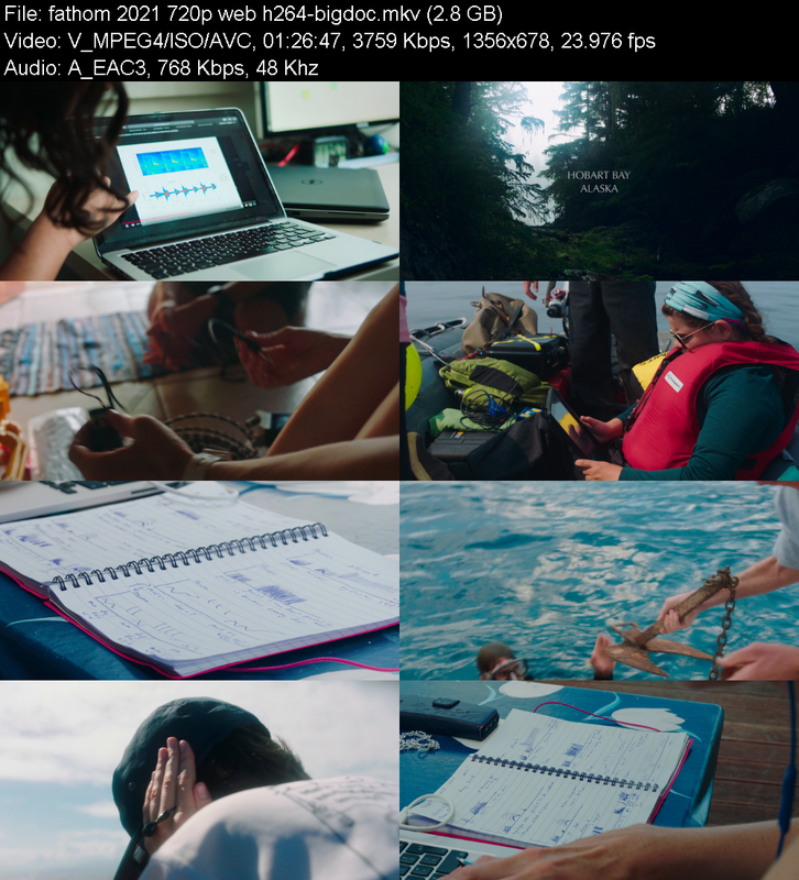fathom-2021-720p-web-h264-bigdoc.png