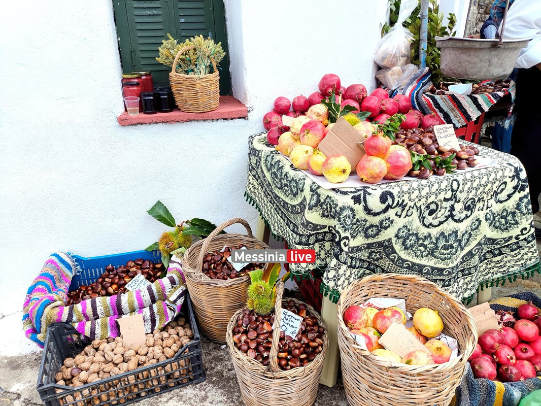 LADASIMG-20251012-115644