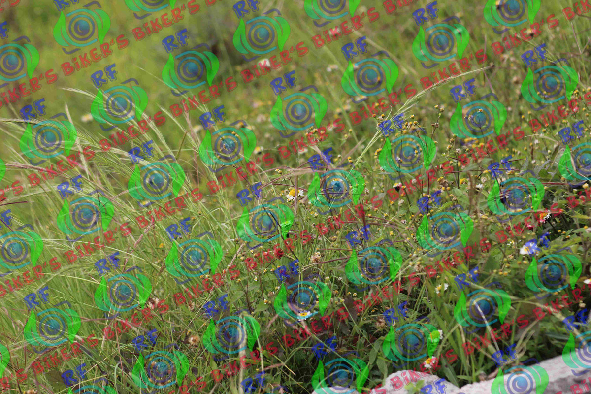 batch IMG 0756 — Postimages