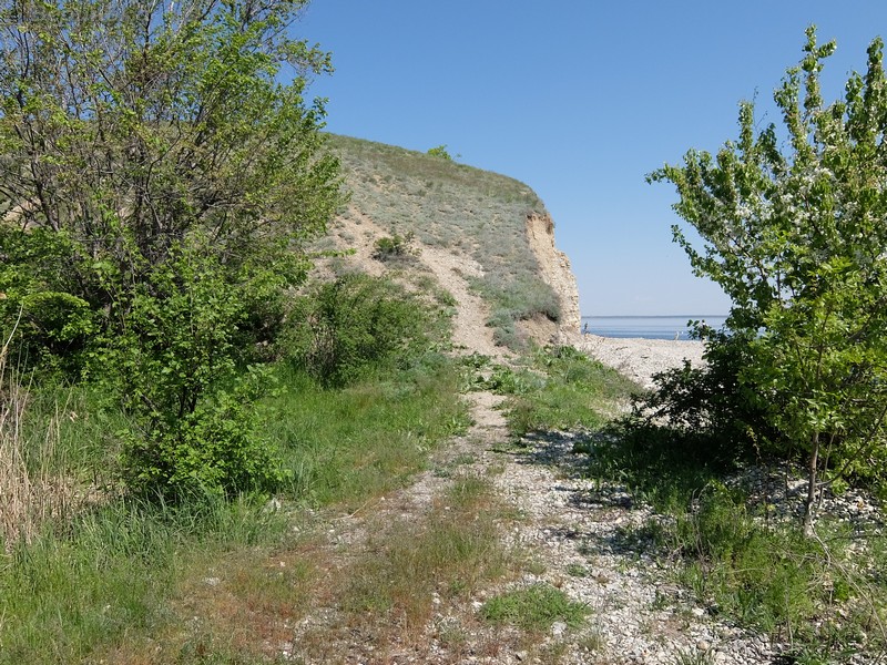 DSCF5621