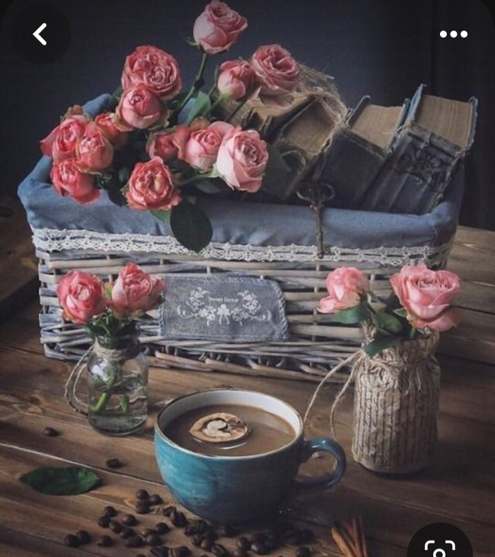 Screenshot_20240206_201814_Pinterest