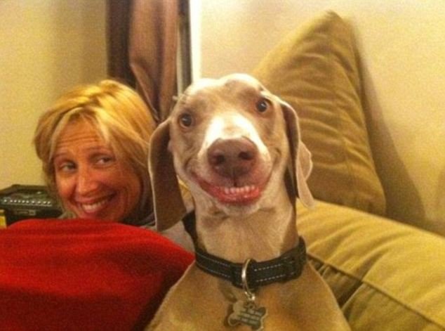 Life is short. Smile while you still have teeth. dog
