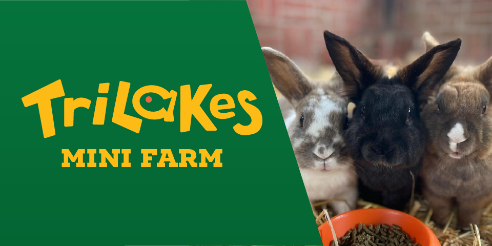 Mini Farm Ticket Booking