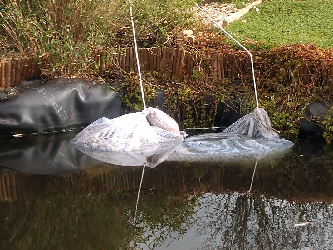 IMG_20200208_131130567