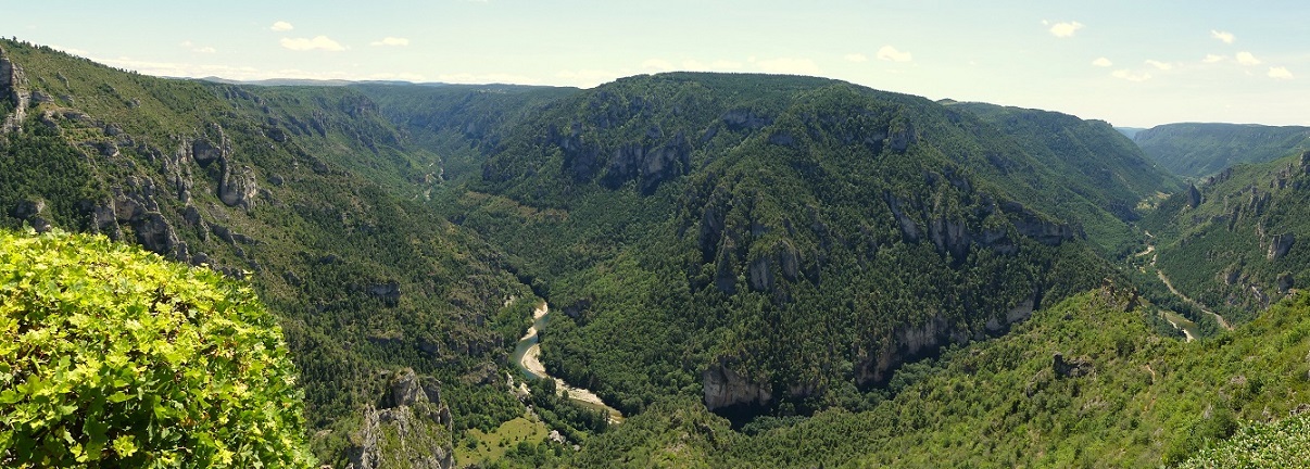 P1090202-1.jpg