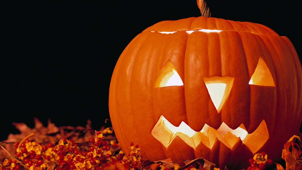 Pumpkins 0021