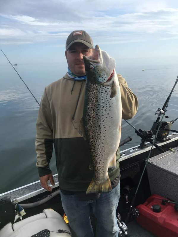 62BBF521-6AA7-4967-8A77-E626F7130EC7