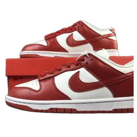 Nike Dunk GX Batch