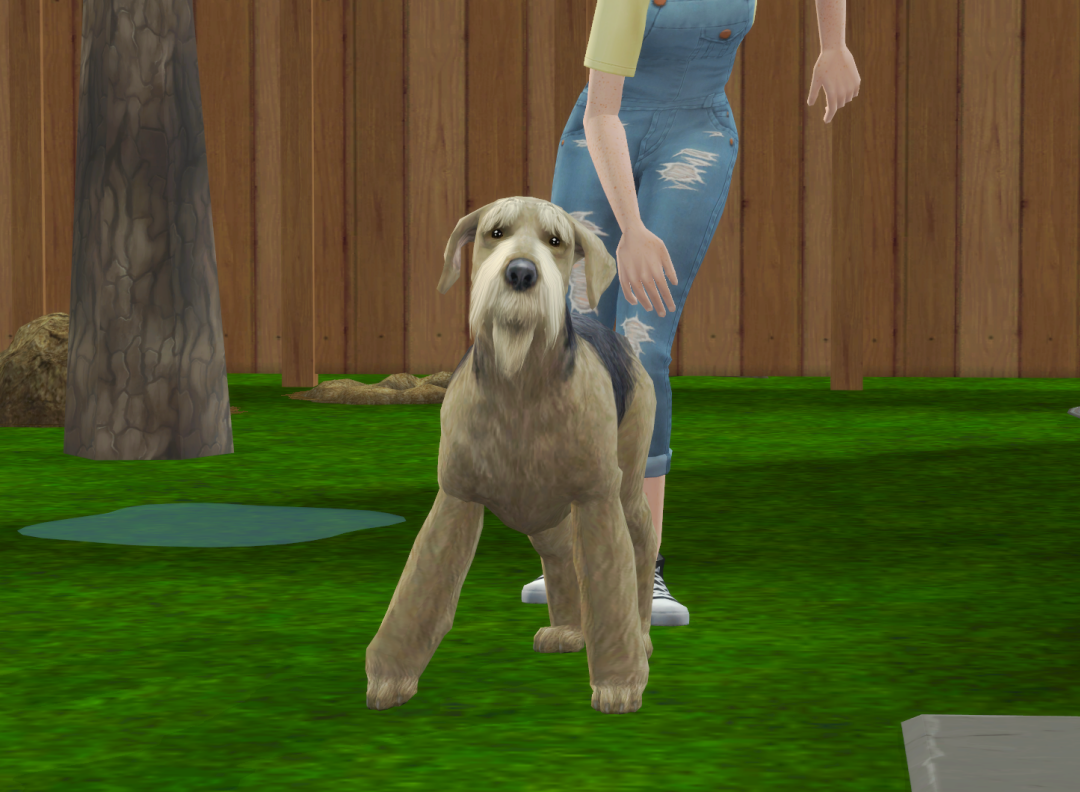 Sims2-EP9-RPC-2024-09-28-18-36-26-30