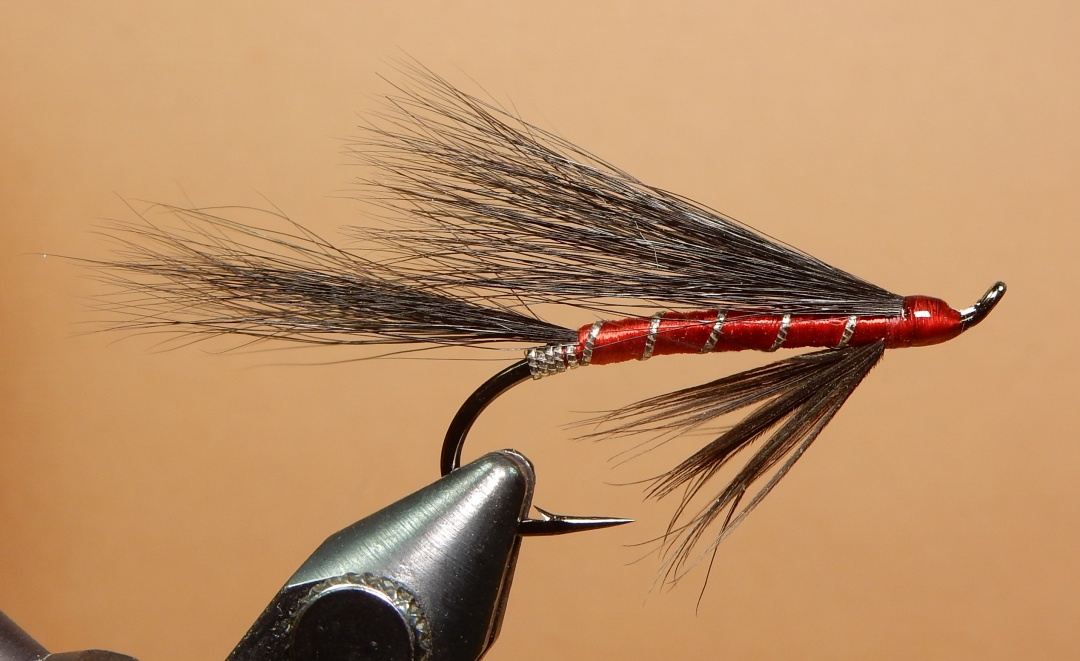 Black-Brahan-1080.jpg