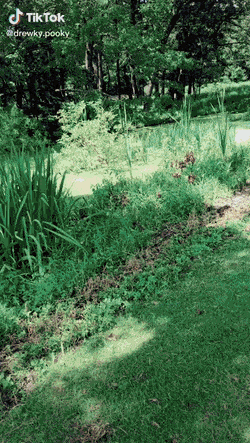 daily-gifdump-3408-29.gif