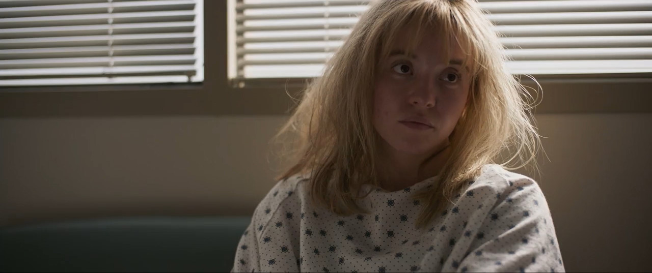 Christy 2025 WebRip [Hindi + English] 480p 720p ESub Screenshot