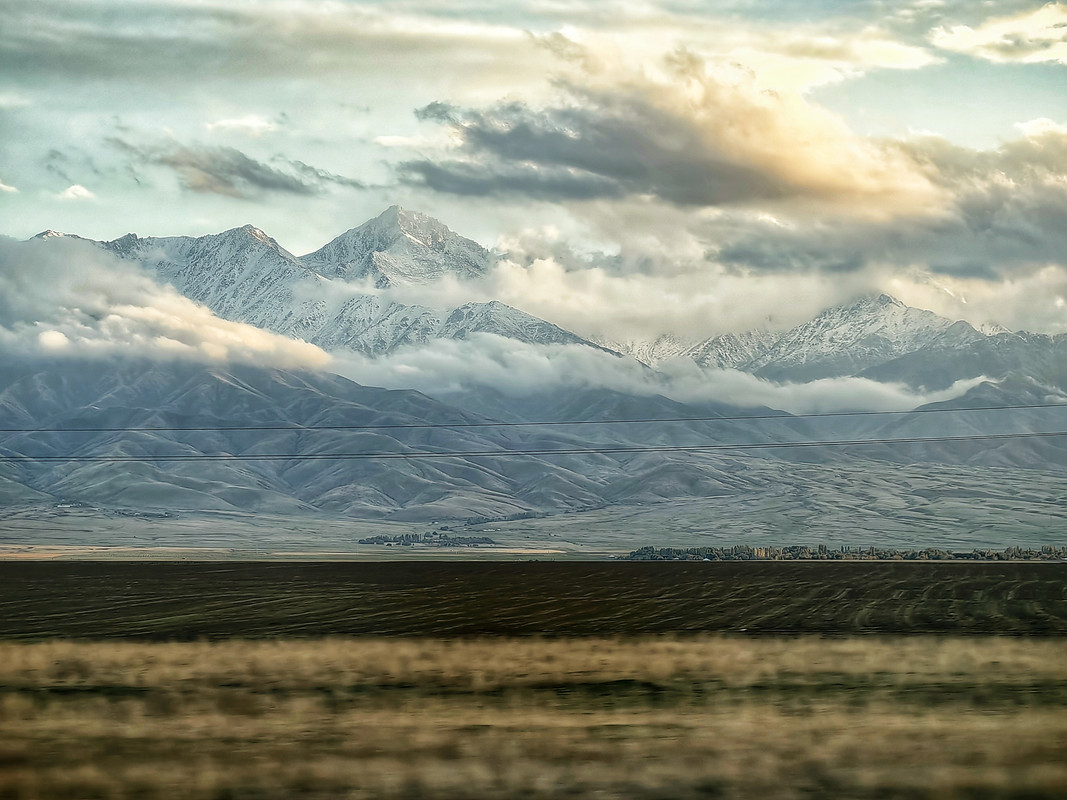 IMG_20241016_170154-01