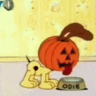 Garfields-Halloween-Adventure-Odie-Pumpkinhead.gif