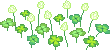GIF Of clovers