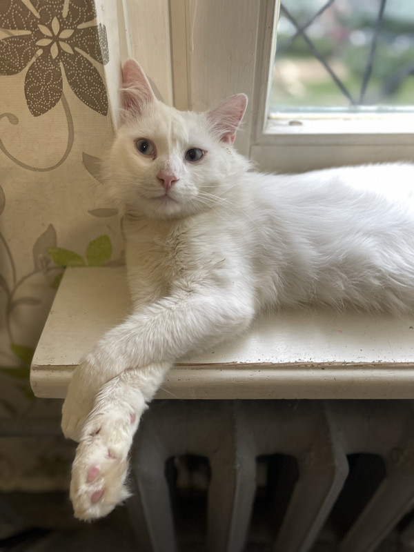 95DC7C86-BBC8-485B-8D5D-B31D563232BC