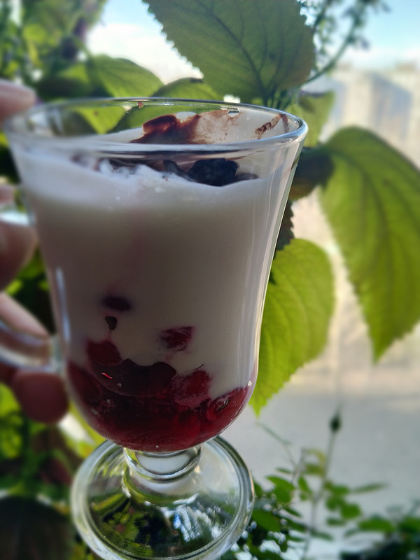 IMG_20250329_091811(1)