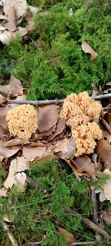 WhatsApp Image 2023-08-06 at 16.43.55 (1)