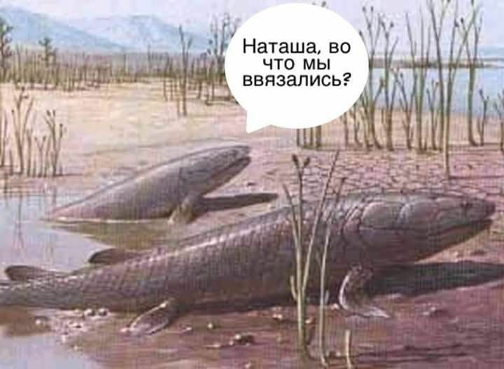 [Изображение: 7ea3d1fedd35dce9c01085583f339d4e.jpg]