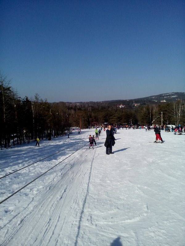 Slika